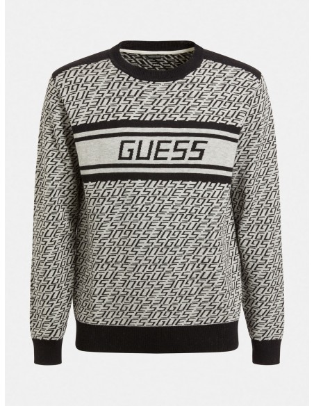SUETER GUESS LOGOS